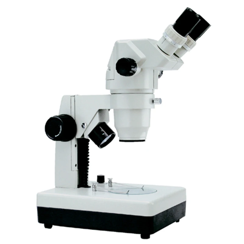 Professional video camera china digital 1000x sem microscope price