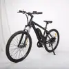 Whirlwind-brushless hub motor driven and lithium battery power supply electric e bicycle bike ebike