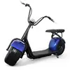 Citycoco electric scooter fat tired motorcycle With Factory price