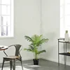 /product-detail/cheap-artificial-hawaii-palm-tree-100-cm-green-decorative-palm-tree-62020903747.html