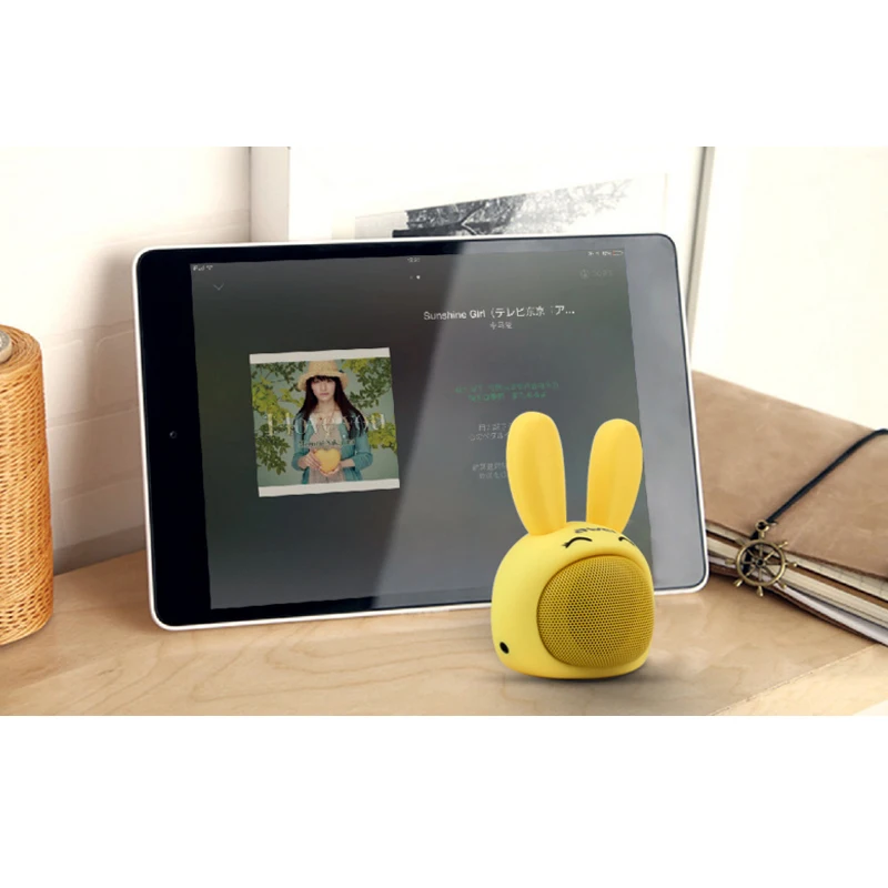 Car bluetooth speaker portable