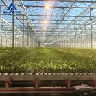 Hot Dipped Galvanized Tube Structure Automatic Glass Greenhouse