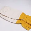 2018 Beekeeping tools factory directly supplies Chinese beekeeping rubber cotton protective honey keeping bee gloves