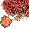 /product-detail/bits-for-discus-with-bloodworm-freeze-dried-bloodworm-discus-food-62158277127.html