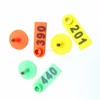 /product-detail/laser-printed-plastic-ear-tag-for-sheeps-or-goat-60690731430.html