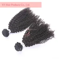 Popular Salon Products 100 Human Hair