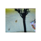 wholesales spring printing tree scarf shawls silk wool scarves