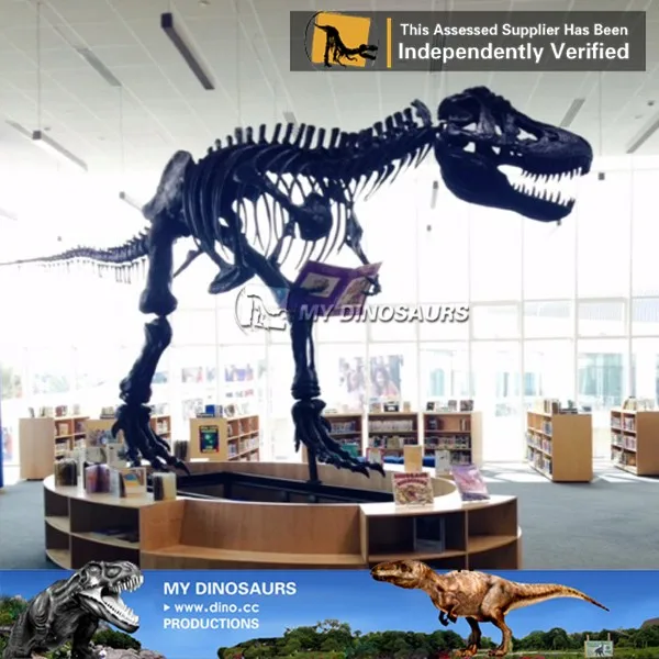 10M trex skeleton.jpg