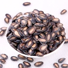 chinese best price for water melon seeds