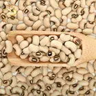 Beans Non-GMO Black Eyed Cowpea Beans Black-Eyed Peas With Best Price
