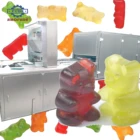 small automatic vitamin gummy bear jelly candy making forming machine soft gummy candy production line