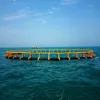 /product-detail/hdpe-fish-farms-floating-cage-tilapia-fish-farm-equipment-chinese-supplier-60311806451.html