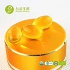 Herbal Supplements Reishi Mushroom Extract Spore Oil Capsule