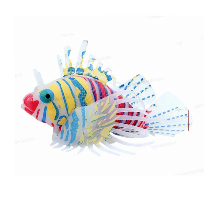 wholesale tropical aquarium fishes