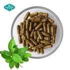 Healthvit Vitamin Herbal Gymnema Sylvestre Extract Capsules