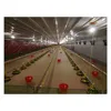 High Quality Modern Broiler Poultry Farm Shed Design Chicken House Equipment