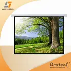 1:1 Ratio 334" Large Fibreglass Matte White Deluxe Electric Projection Screen
