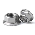 Stainless Steel DIN6923 Serrated Hex Flange Nut