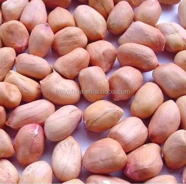 hot sale high quality wholesale peanuts