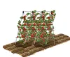 Green High heavy-duty Cucumber, Pumpkin, Tomato ladder Trellis, A-frame Support Plant Stakes