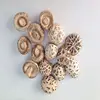 /product-detail/dried-shiitake-white-button-mushroom-spawn-60480972165.html