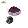100% pure natural Black Currant Extract / Black Currant berry powder