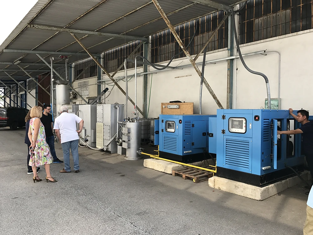 Biomass Gasifier-Italy.JPG