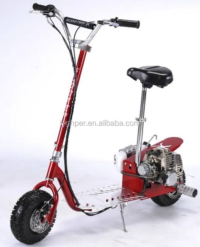 dirt dog 1 800.jpg