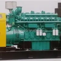YUFA Silent Natural Gas Biogas LPG