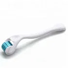 FDA CE ROHS Approved 0.25Mm 540 Titanium Microneedle Derma Roller For Hair Loss And Stretch Marks