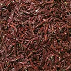 Fresh hot pepper chillies red chilli pepper price in