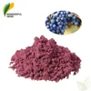 Wholesale blue berries anthocyanin powder freeze dried organic wild blueberry extract