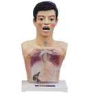 Life Size Skin Color 2019 Chinon Teeth Model 5 Times Full-featured Trauma Nursing Care Manikin