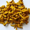 Top selling favorable price new design best quality Turmeric finger