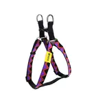 HiDREAM RAINBOW Original Designs Step In Dog Harness, Stylish Dog Harness Wholesale