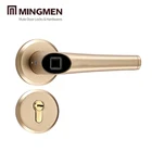 High Security Residential Smart Cheap Biometric Fingerprint Scanner Front Door Lock Fingerprint Lock