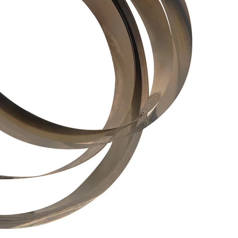 OEM Flexible Stainless Steel Bistable Spring Band, Plate Spring