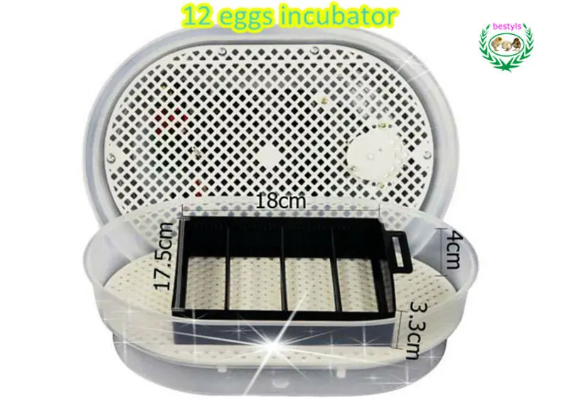 Mini egg incubator 9~ 12 eggs poultry incubator machine egg incubator 
