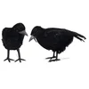 Realistic Crow Halloween Black Feathered Bird party decoration