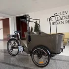 3 wheel family electric tricycle cargo bikes ebike