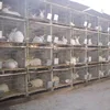 /product-detail/high-quality-rabbit-breeding-cage-factory-3-or-4-layers-hot-sale-574081852.html