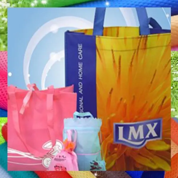 New Design Professional Manufacturer Promotional Laminated PP Non Woven Bag