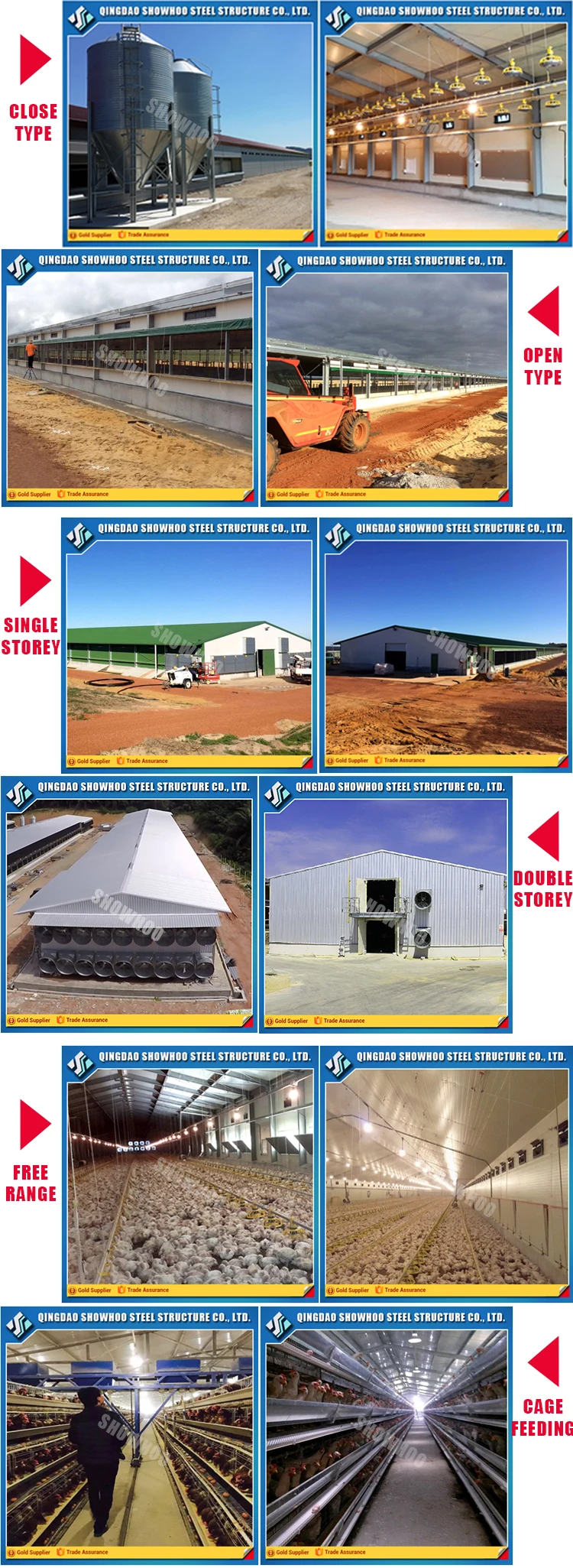 Poultry-shed-type