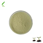Zelong Provides Organic Pumpkin Powder