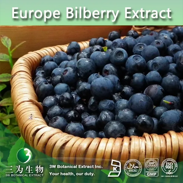 hot sale product europe bilberry extract, europe bilberry p.e.