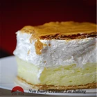 whipping cream powder for bakery