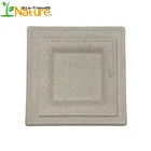 Dishes Plates Square Disposable Biodegradable Square Sugarcane Plate Disposable Bagasse Tableware