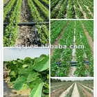 ZQSJ-65/30 monowing drip irrigation tape making machine