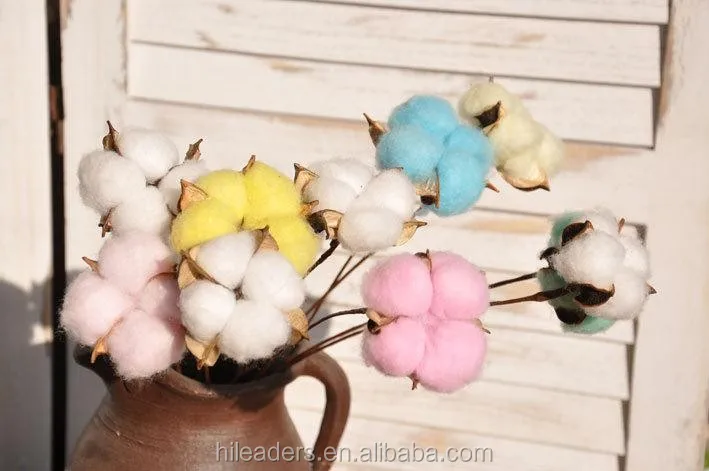 white color natural cotton flower