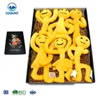 Manufacturer with 20 Years Experience Various Plush Pet Toys stocked